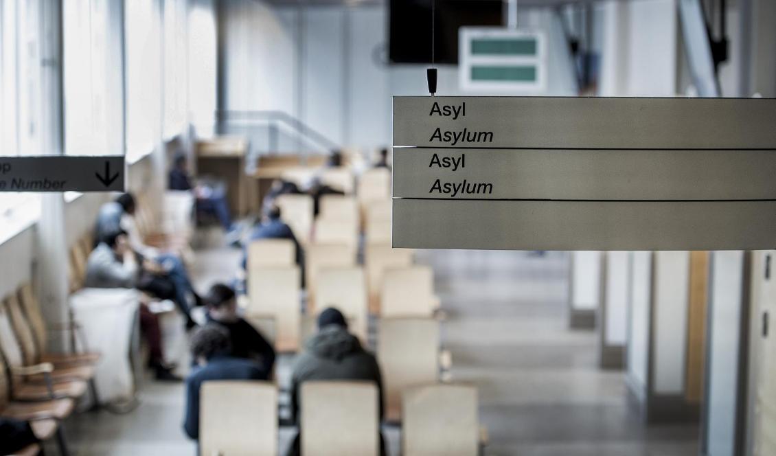 Det blir fler asylsökande till Sverige om den tillfälliga, skärpta asyllagen upphör nästa sommar. Foto: Marcus Ericsson/TT-arkivbild