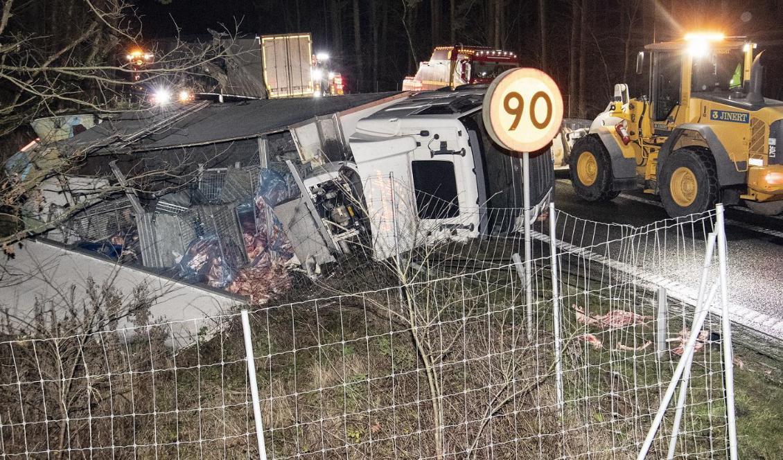 

Tre trafikolyckor med vildsvin, varav en dödsolycka, inträffade på E22 i östra Skåne under natten. Foto: Johan Nilsson/TT                                                                                                
