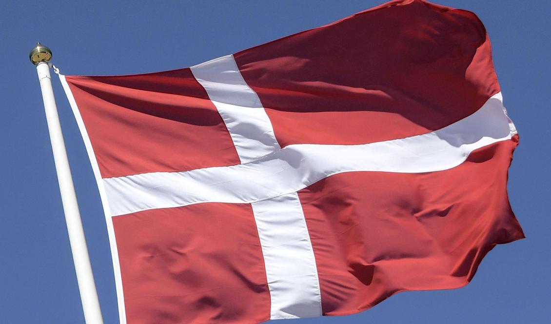 Framför allt moderater och sverigedemokrater har lånat politiska förslag från Danmark. Foto: Johan Nilsson/TT-arkivbild