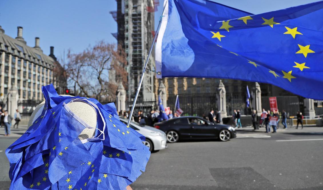 Årets val till EU-parlamentet hålls den 23–26 maj. Foto: Frank Augstein/AP/TT-arkivbild