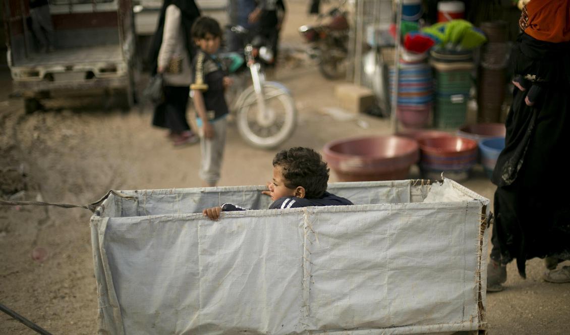 Många barn sitter i lägret al-Hol i Syrien. Upp emot ett 80-tal av dem är svenskar. Foto: Maya Alleruzzo/TT-arkivbild