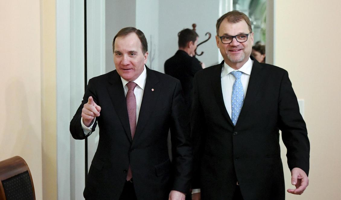 Statsminister Stefan Löfven (S) på besök hos sin finländske statsministerkollega Juha Sipilä i Helsingfors. Foto: Jussi Nukari/TT