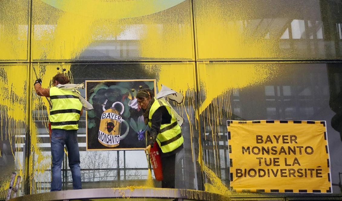
Miljöaktivister spraymålar Monsantos ägare Bayers högkvarter i Paris i mars i protest mot företagets produkter. Foto: Francois Mori/AP/TT                                                