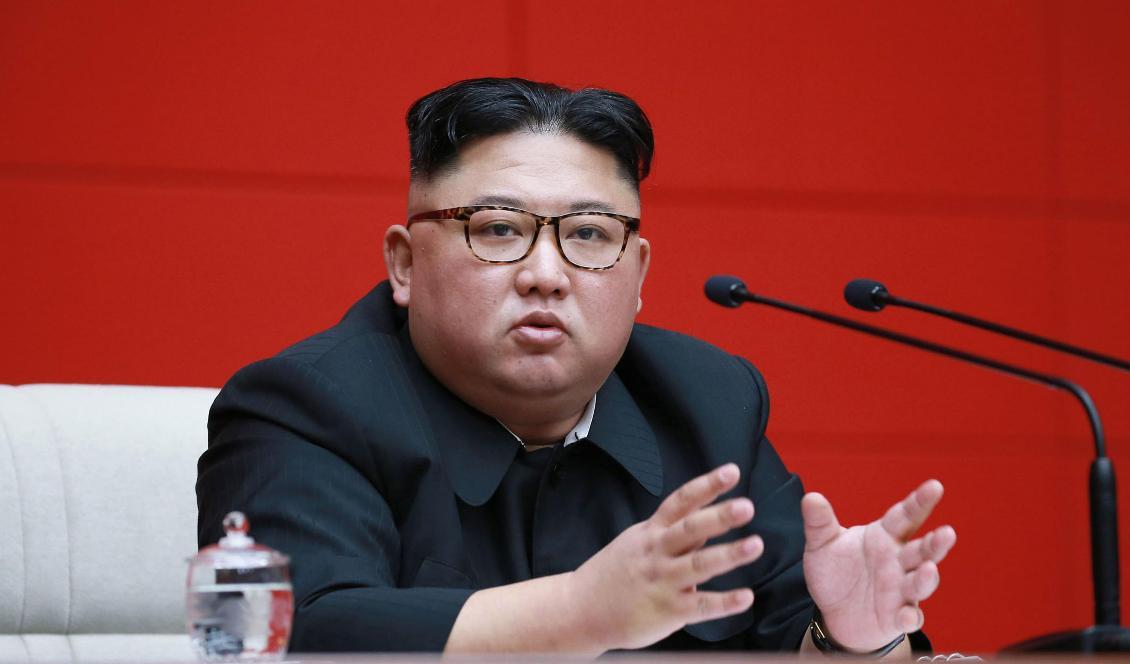 Nordkoreas diktator Kim Jong-Un. Foto: Korea News Service/AP/TT