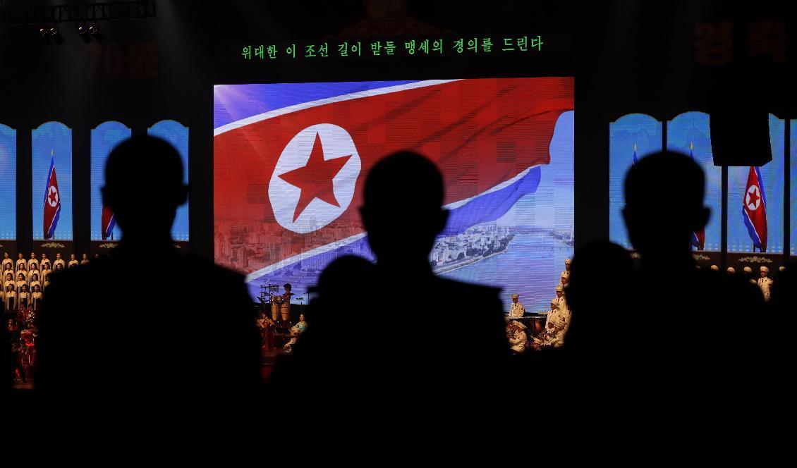 Nordkoreanska kadetter framför landets flagga. Foto: Kin Cheung/AP/TT-arkivbild