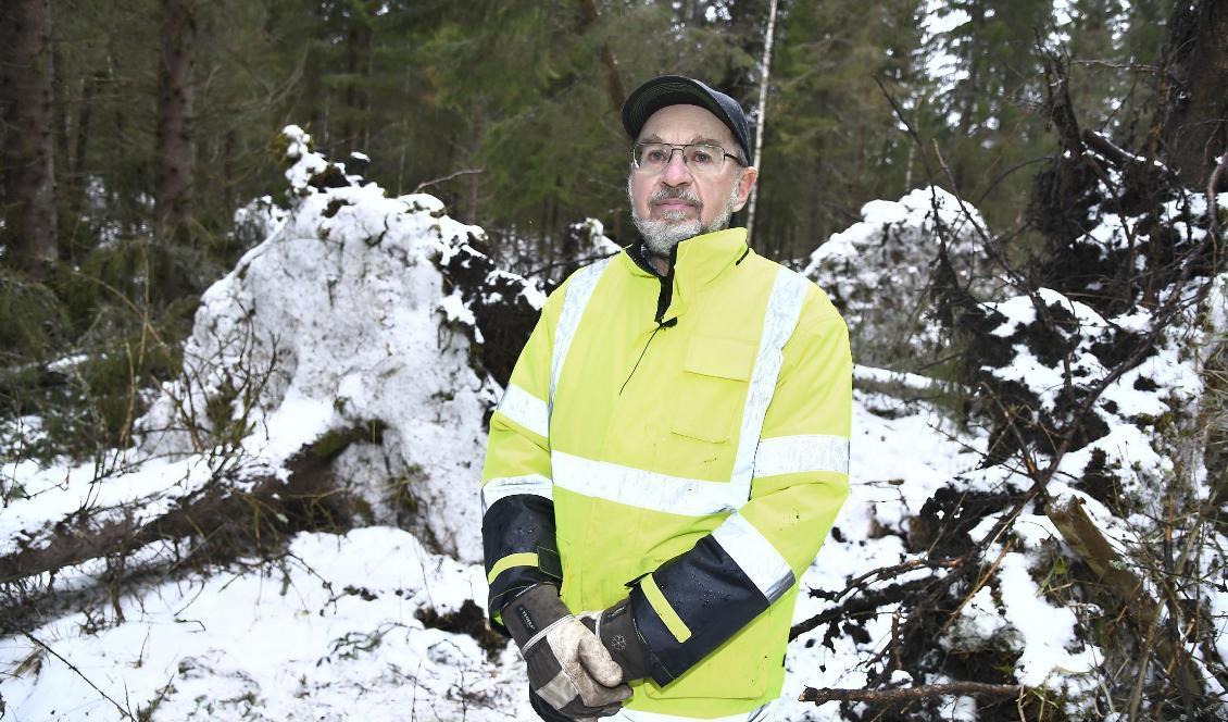 
Skogsägaren Stefan Lindskogs ägor drabbades hårt av stormen Alfrida. Foto: Claudio Bresciani/TT                                                