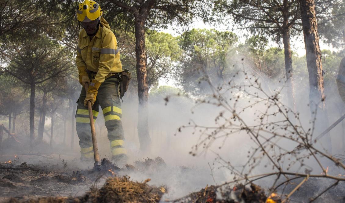 En brandman i Spanien släcker en brand. Arkivbild från 2017. Foto: Alberto Diaz/AP/TT