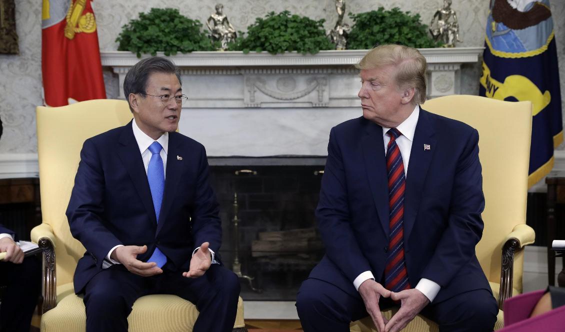 USA:s Donald Trump och Sydkoreas Moon Jae-In diskuterar Nordkorea i Vita huset. Foto: Evan Vucci/TT