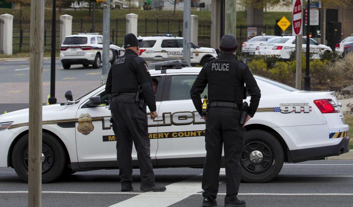 En 28-årig man i Maryland har gripits misstänkt för att ha planerat ett terrordåd. Foto: Jose Luis Magana/AP/TT-arkivbild