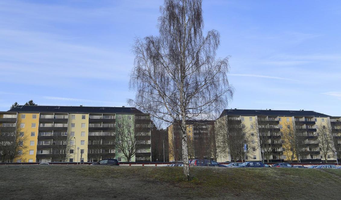 Stadsdelen Ronna i nordvästra Södertälje anses av polisen vara ett särskilt utsatt område. Foto: Janerik Henriksson/TT-arkivbild