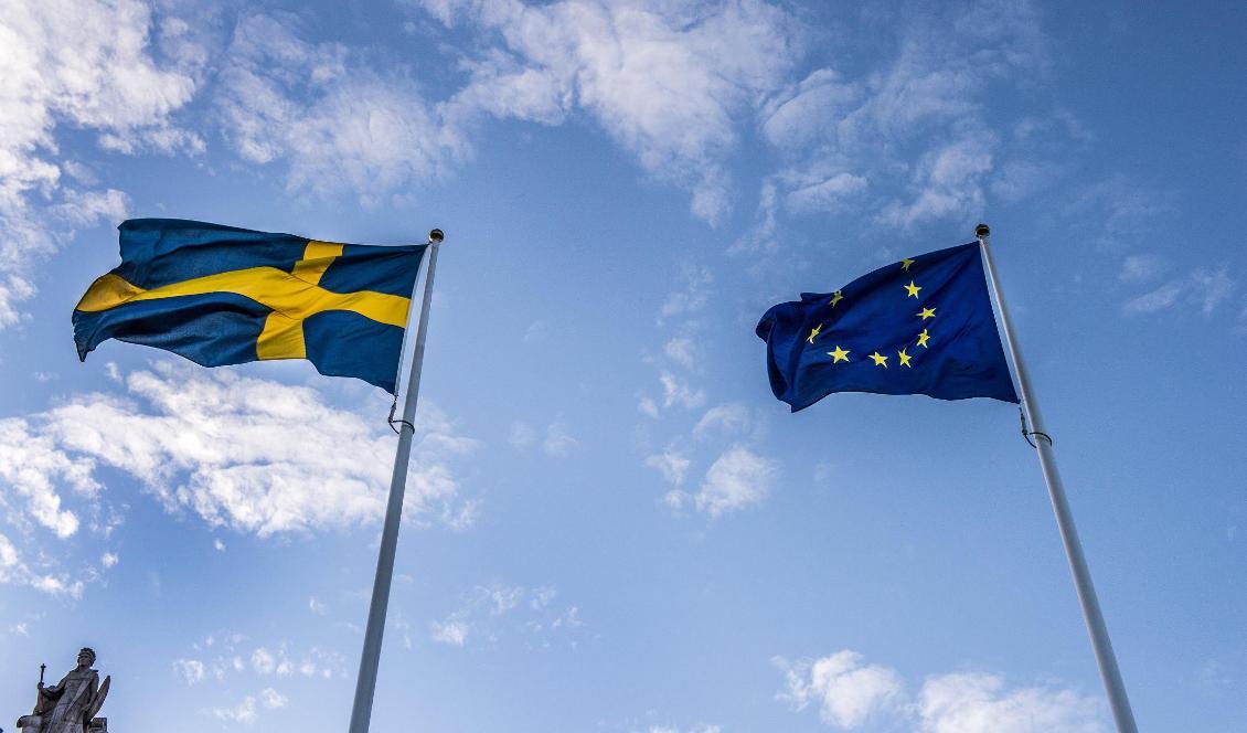 Ganska få svenskar vet att det är EU-val i maj, enligt en ny opinionsmätning från DN/Ipsos. Foto: Lars Pehrson/SvD/TT-arkivbild