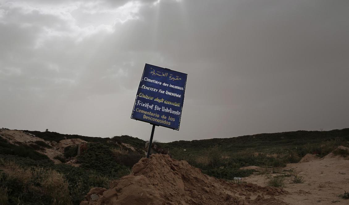 
På bilden syns en begravningsplats i Zarzis för migranter som omkommit till havs. Foto: Nariman El-Mofty/AP/TT-arkivbild                                                