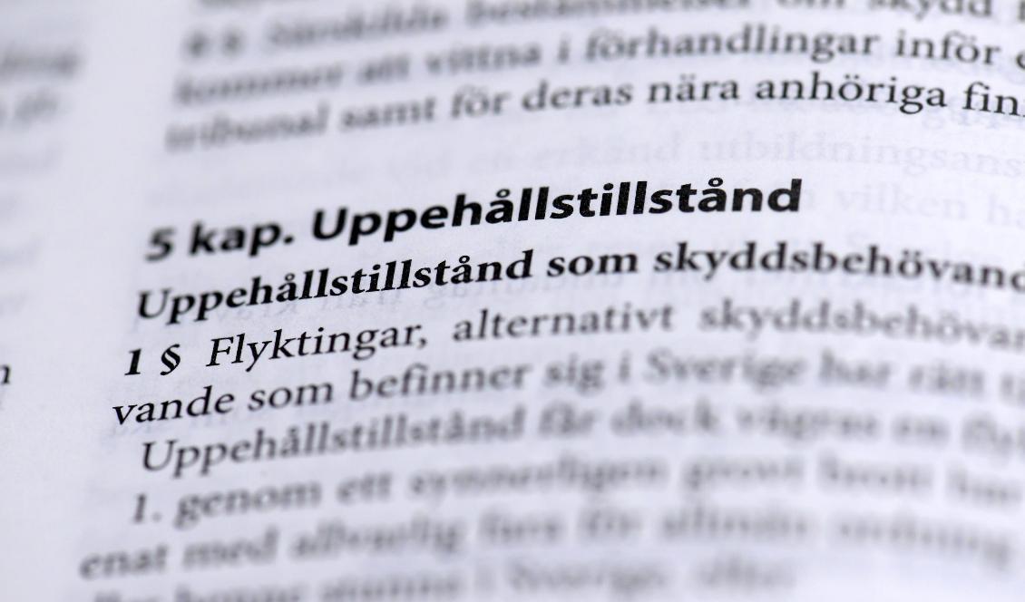 JO kritiserar migrationsdomstolen i Göteborg för handläggningstiderna. Foto: Janerik Henriksson/TT-arkivbild