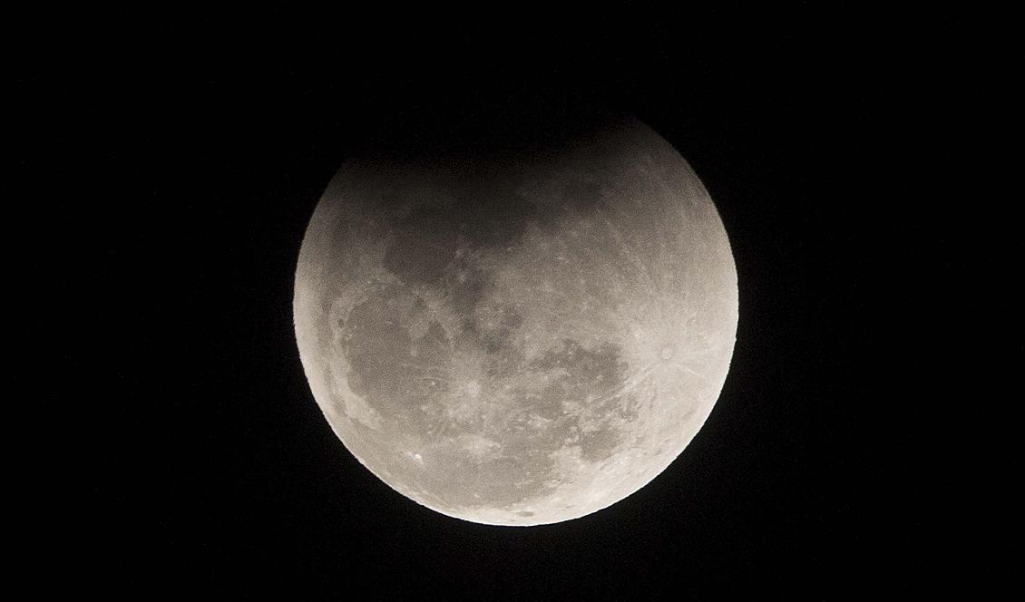 Indien vill bli det fjärde landet i världen som framgångsrikt landar en farkost på månen. Foto: Anupam Nath/AP/TT