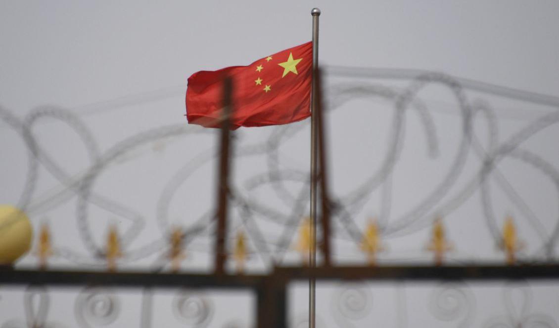 

Kinesiska flaggan bakom taggtråd i Yangisar, Xinjiang, Kina, den 4 juni 2019. Foto: Greg Baker/AFP/Getty Images                                                                                                