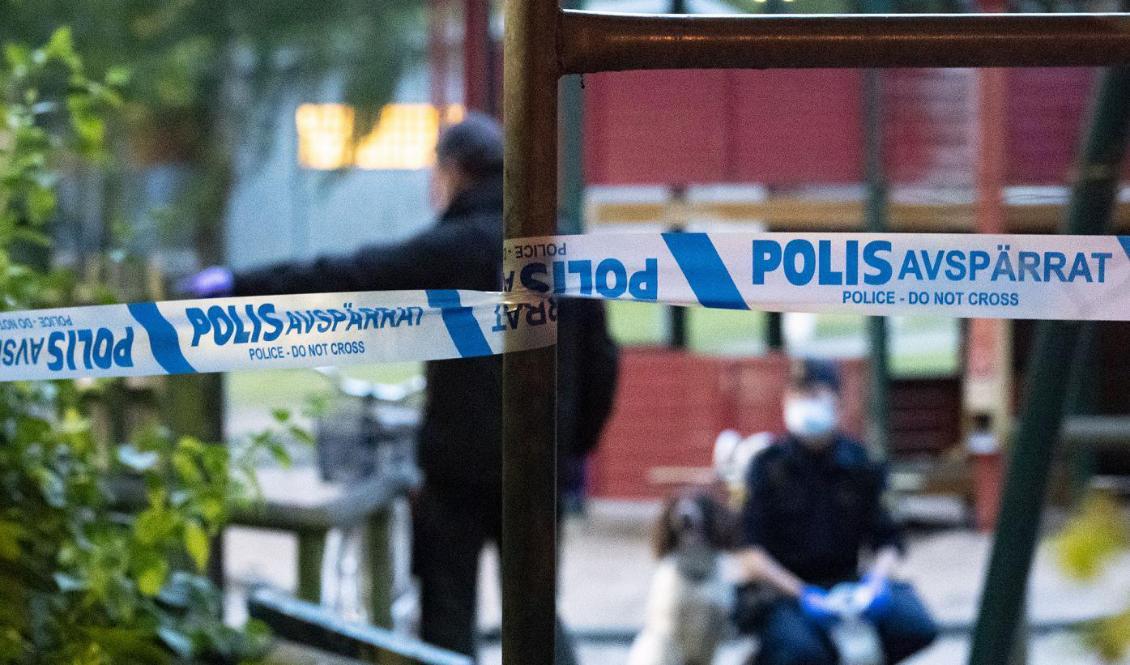 
Polisen jobbar efter en misstänkt skottlossning i Malmö tidigare i juni. Gängkriminalitet debatteras nu i riksdagen. Foto: Johan Nilsson/TT                                                