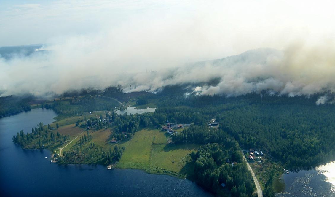 Flygbilder över den stora branden runt Ljusdal i juli förra sommaren. Foto: Maja Suslin/TT
