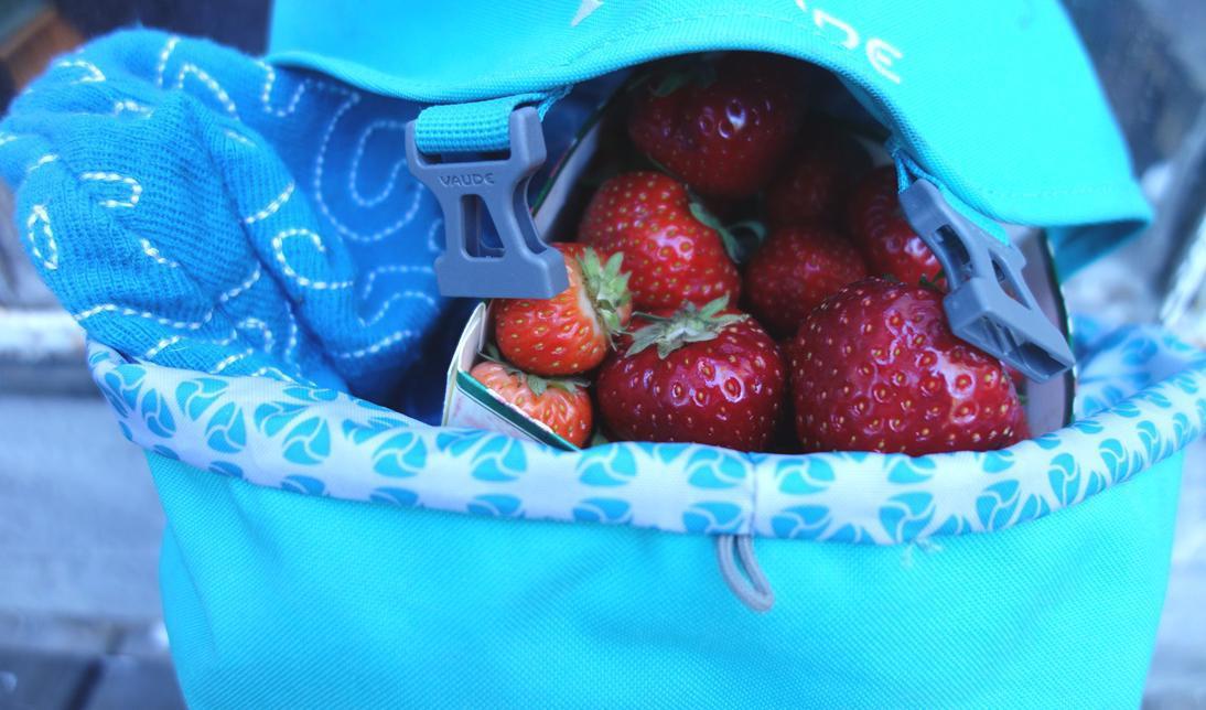 




Färska jordgubbar passar inte bra i ryggsäcken. Foto: Eva Sagerfors/Epoch Times                                                                                                                                                                                                                                                