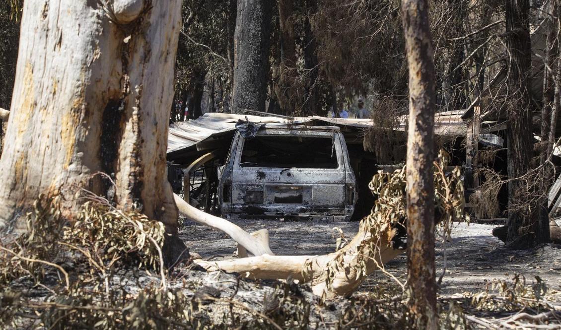 
Brandskador i Noosa Shire, Queensland, på måndagen. Foto: Rob Maccoll/AAP/AP/TT                                                