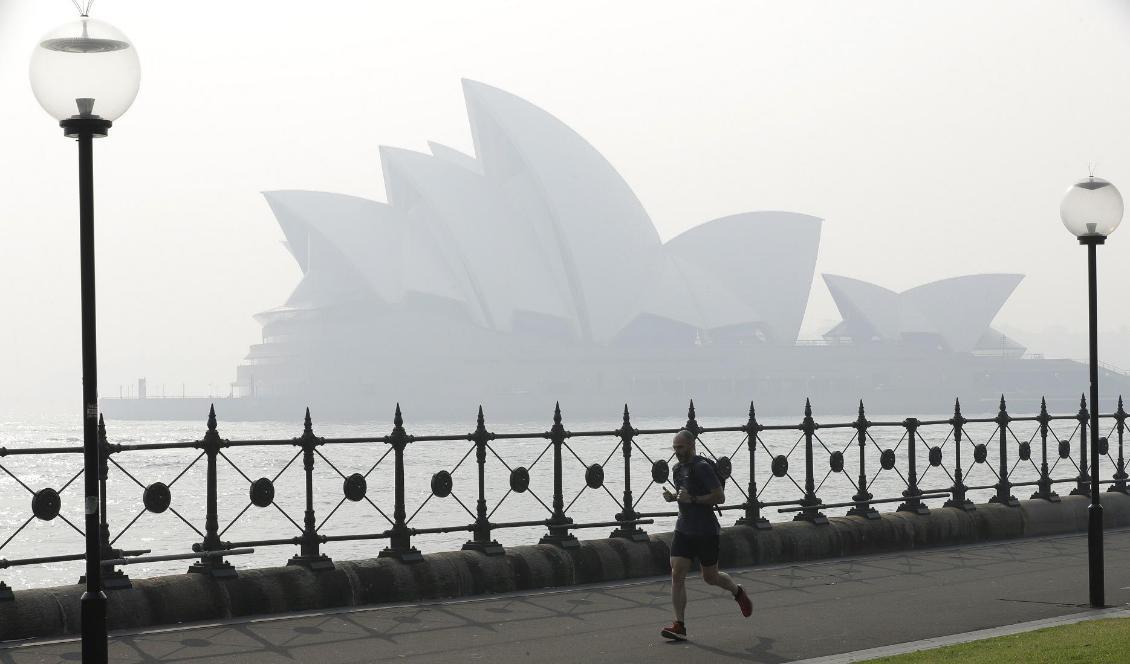 
Sydneyoperan sveptes på torsdagsmorgonen åter in i brandrök. Foto: Rick Rycroft/AP/TT                                                