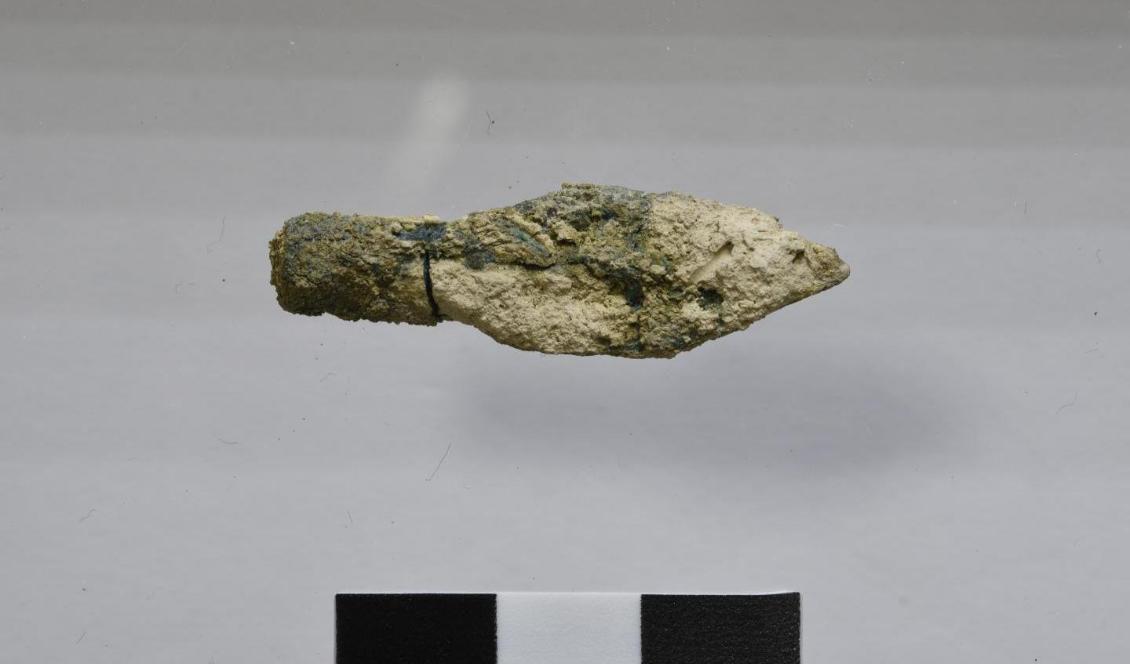 En av de pilspetsar som hittats på platsen. Foto: Mt Zion Archaeological Expedition/Virginia Withers/TT