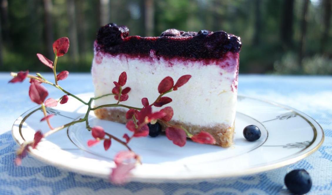 







Frusen blåbärscheesecake á la webbsidan Helande Mat. Foto: Eva Sagerfors/Epoch Times                                                                                                                                                                                                                                                                                                                                                                                                