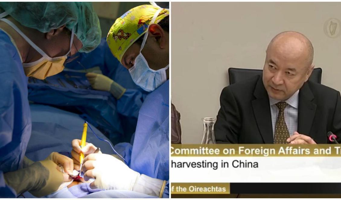 










Flera personer vittnade den 12 november i Stockholm om erfarenheter från människorättsbrott i Kina. Läkaren Enver Tohti (hö) var en av dem. Foto: (hö) skärmavbild/YouTube                                                                                                                                                                                                                                                                                                                                                                                                                                                                                                                                                