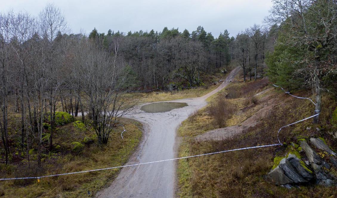 Polisen spärrade på tisdagen av ett skogsområde utanför Uddevalla, om fynden som gjorts där har med försvinnandet att göra är dock ännu oklart. Foto: Adam Ihse/TT