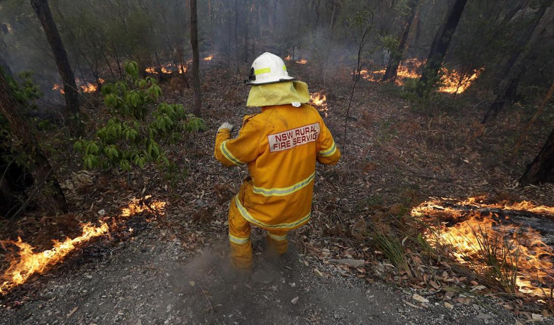 En brandman kämpar mot elden i New South Wales, Australien, tidigare i december. Foto: Rick Rycroft/AP/TT