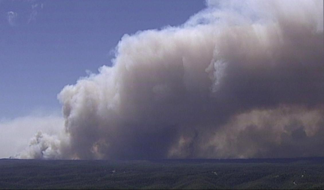 Rök från branden i Gospers Mountain i november. Foto: Australia Pool/AP/TT-arkivbild