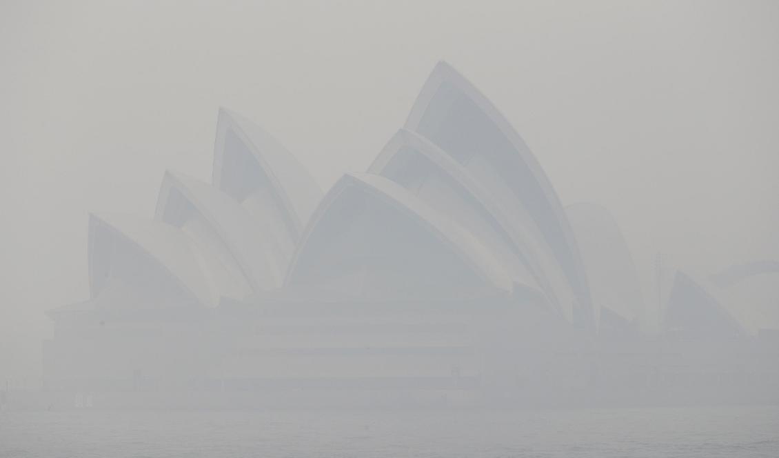 Operahuset i Sydney insvept i brandrök under tisdagsmorgonen. Foto: Rick Rycroft/AP/TT