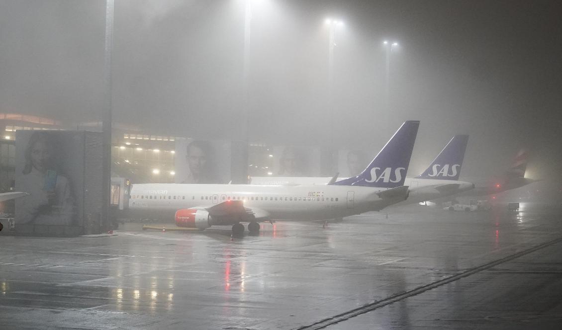
Den terrormisstänkta norska kvinnan och hennes två barn landade på Gardemoen i Oslo vid midnatt. Foto: Fredrik Hagen/NTB/TT                                                