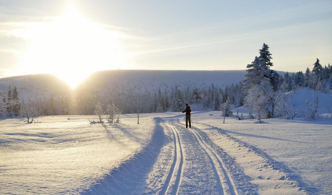De invånare i södra Sverige som hoppas på skidföre närmaste veckorna får bege sig norrut. Foto: Henrik Montgomery/TT-arkivbild