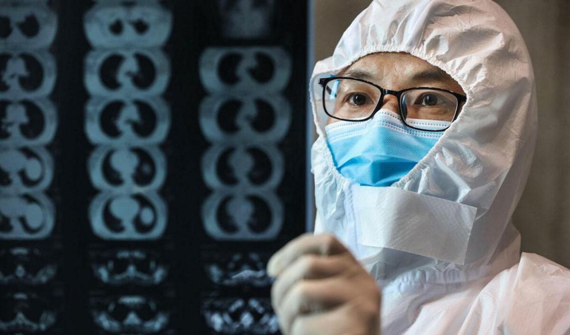 

En läkare tittar på en lungröntgenbild på ett sjukhus i Yanmeng-distriktet i staden Xiaogan i Hubeiprovinsen, den 20 februari, 2020. Foto: STR/AFP via Getty Images                                                                                                