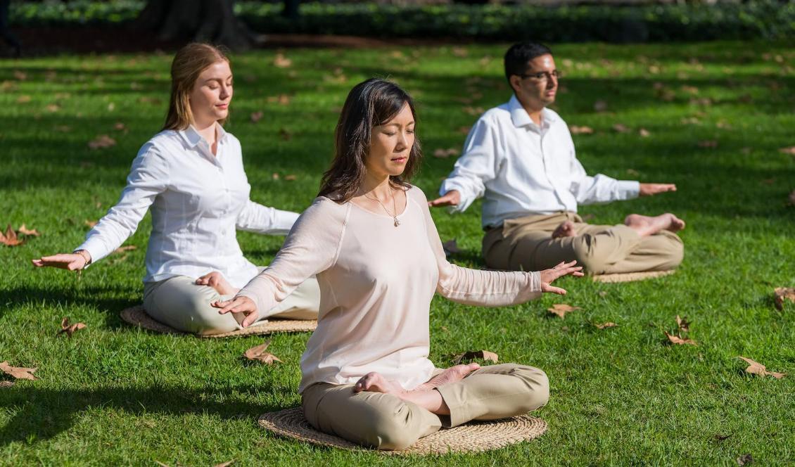 




Forskning har visat att meditation kan stärka immunförsvaret: Foto: Emma Morley                                                                                                                                                                                                                                                