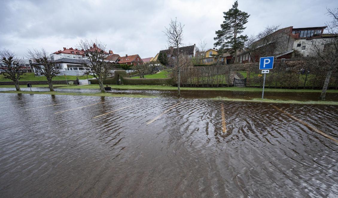 Översvämmad parkeringsplats utmed Lagan i Laholm. Foto: Johan Nilsson/TT
