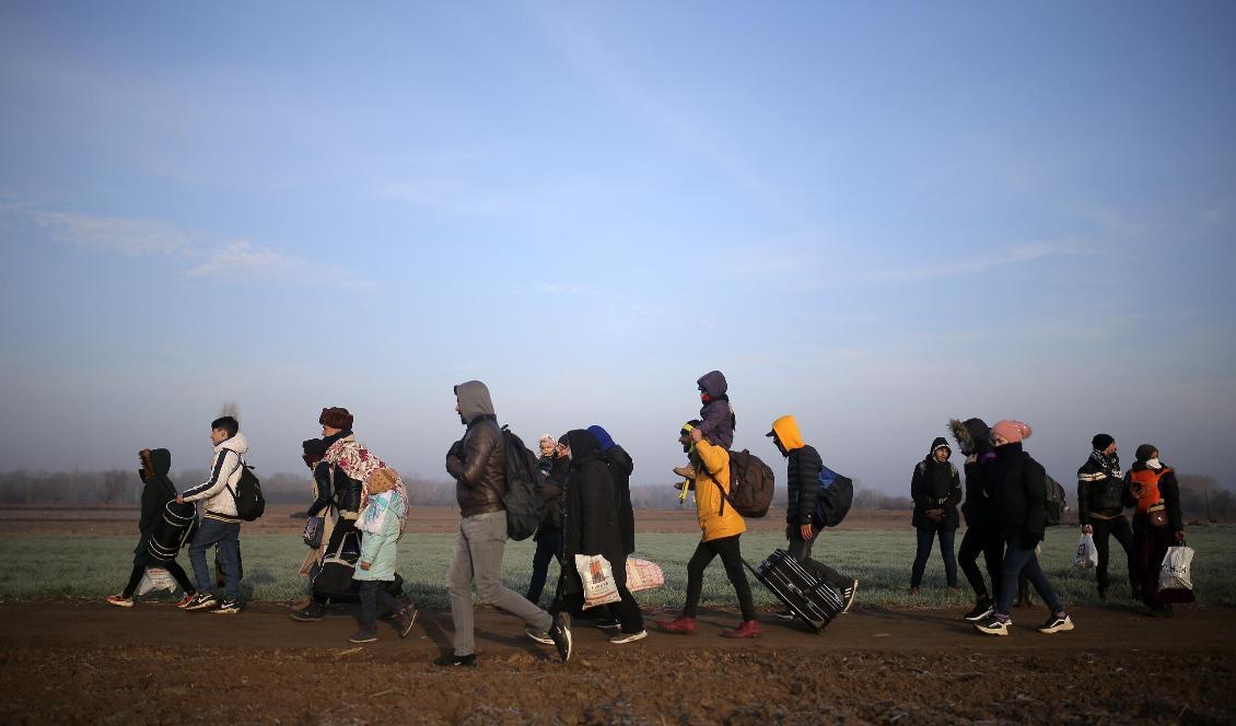 Migranter vandrar mot gränsövergången vid grekiska Pazarakule på söndagsmorgonen. Foto: Emre Tazegul/AP/TT