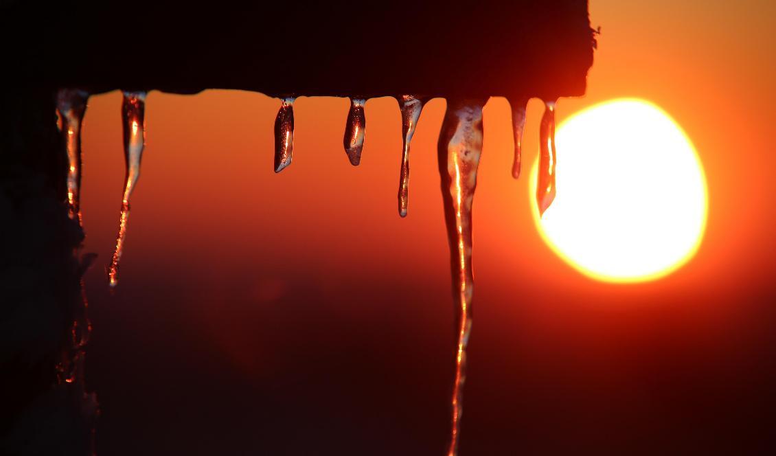 
Sol, lägre temperatur och varierat väder väntas till helgen och nästa vecka. Foto: Matthias Bein/dpa/AP/TT-arkivbild                                                