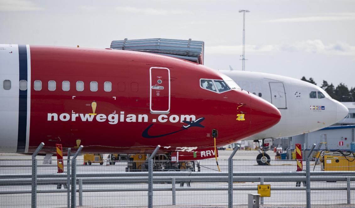 Norwegians pilot- och kabinbolag i Sverige och Danmark ansöker om konkurs. Foto: Johan Nilsson/TT-arkivbild