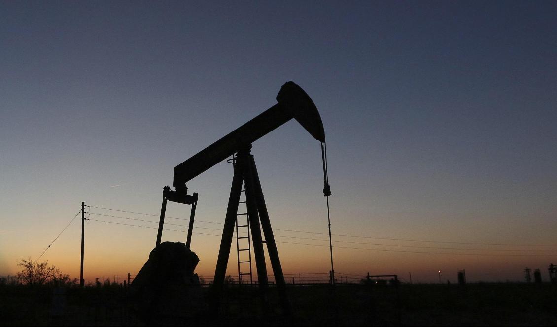 
Oljepriset fortsätter att falla. Foto: Jacob Ford/AP/TT-arkivbild                                                