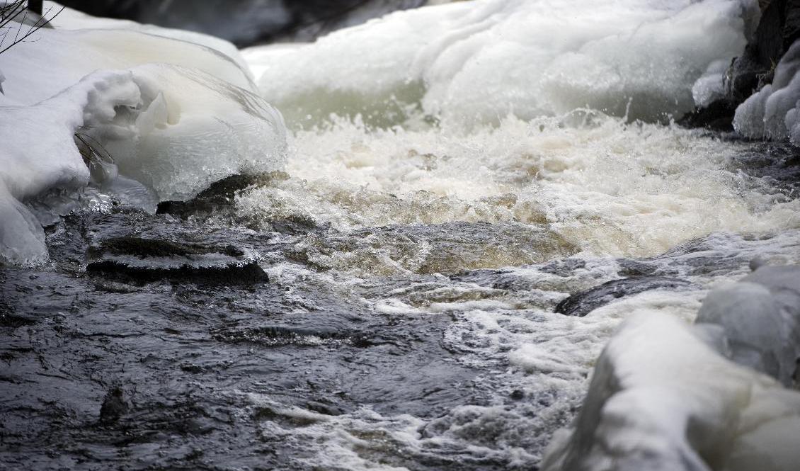 SMHI har utfärdat en klass 2-varning för höga vattenflöden för främst Norrbottens inland. Foto: Björn Larsson Rosvall/TT-arkivbild