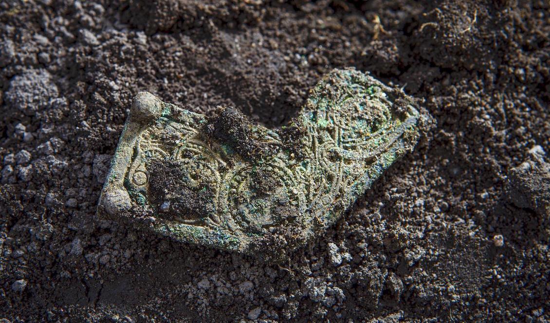 Fynd från järnåldern hittade i Östergötland. Beslag med djurornamentik som suttit på ett hästträns. Foto: Michael Lander