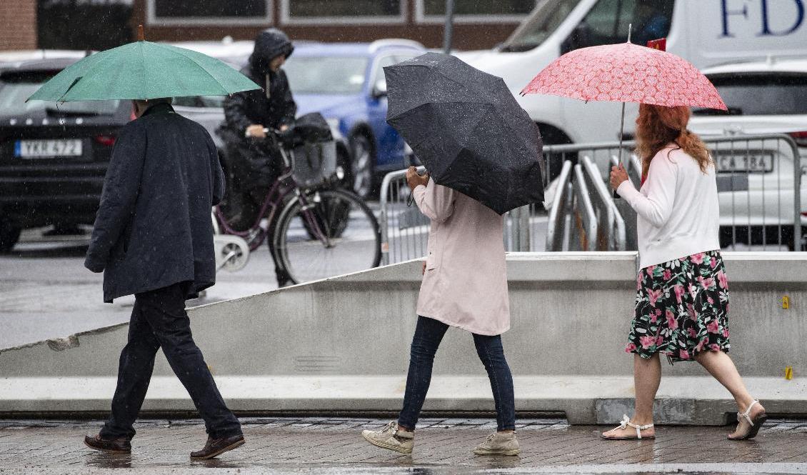 
SMHI har utfärdat risk för stora regnmängder i delar av södra Sverige. Foto: Johan Nilsson/TT-arkivbild                                            