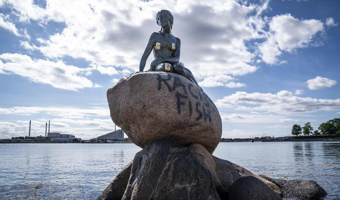 Bronsstatyn är skapad av Edvard Eriksen och restes vid Langelinie i Köpenhamn 1913. Foto: Niels Christian Vilmann/Ritzau/TT