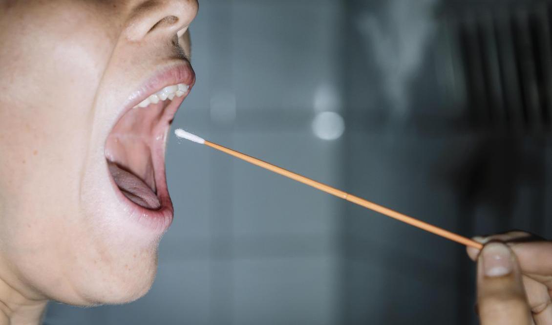 Självtest för covid-19 sker bland annat genom att topsa sig i halsen. Foto: Stina Stjernkvist/TT-arkivbild