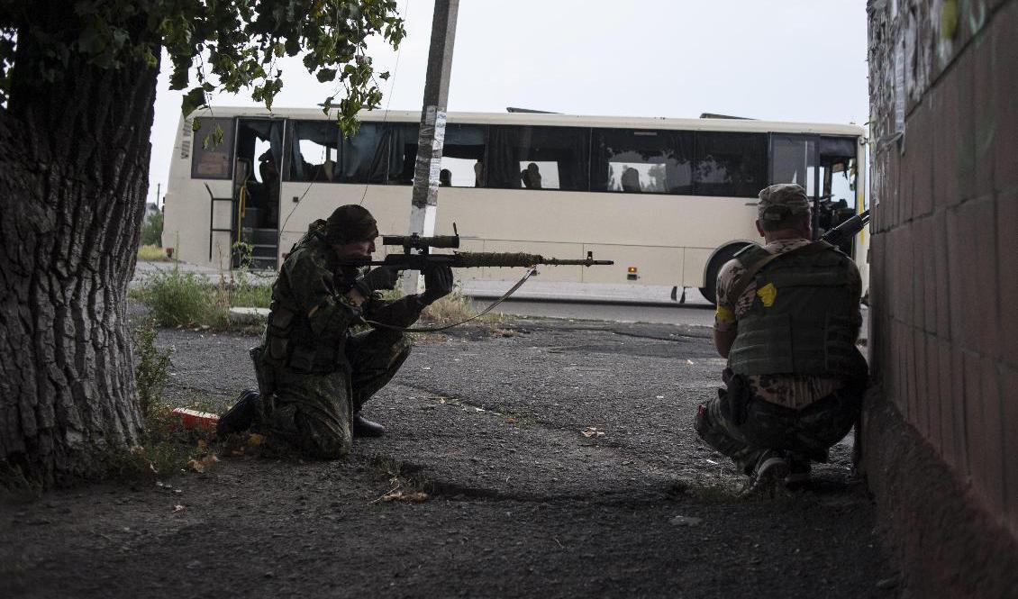 Ukrainska regeringssoldater vaktar en position nära Donetsk i östra Ukraina 2014. Foto: Evgenij Maloletka/AP/TT