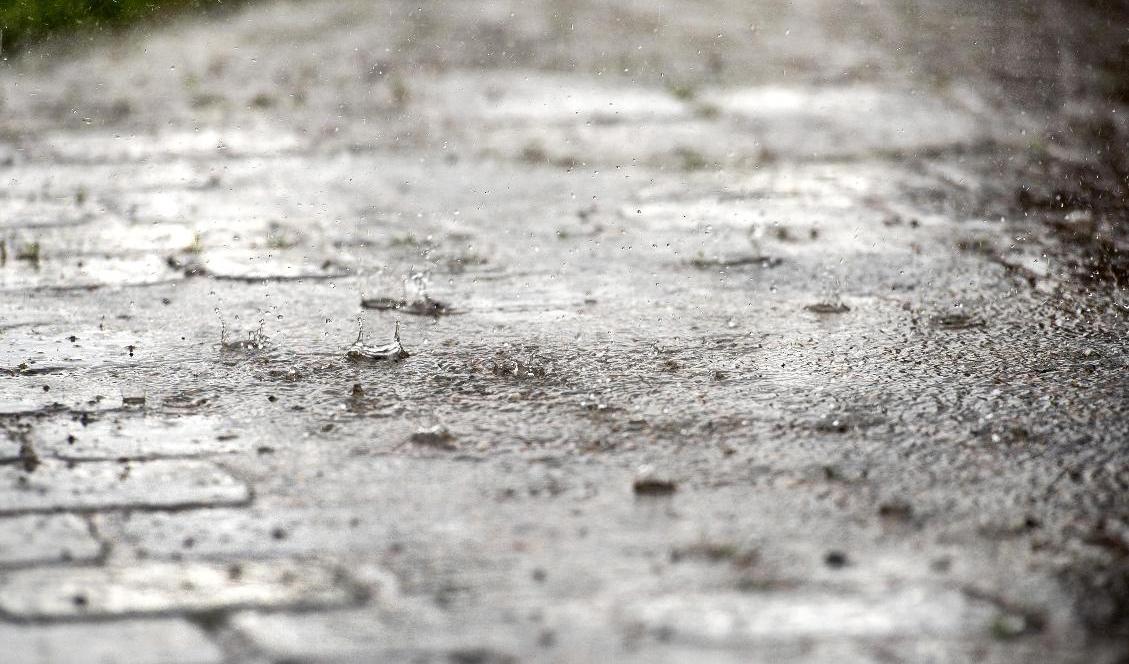 På vissa platser i landet finns det en risk för både skogsbrand och stora regnmängder. Foto: Marcus Ericsson/TT-arkivbild