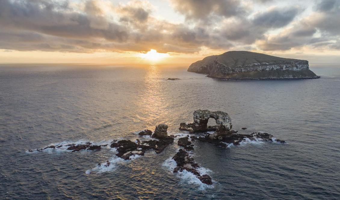 Upptäckterna har bland annat gjorts på havsbotten i närheten av ön Darwin, längst bort i bild. Foto: Simon Pierce/AP/TT-arkivbild