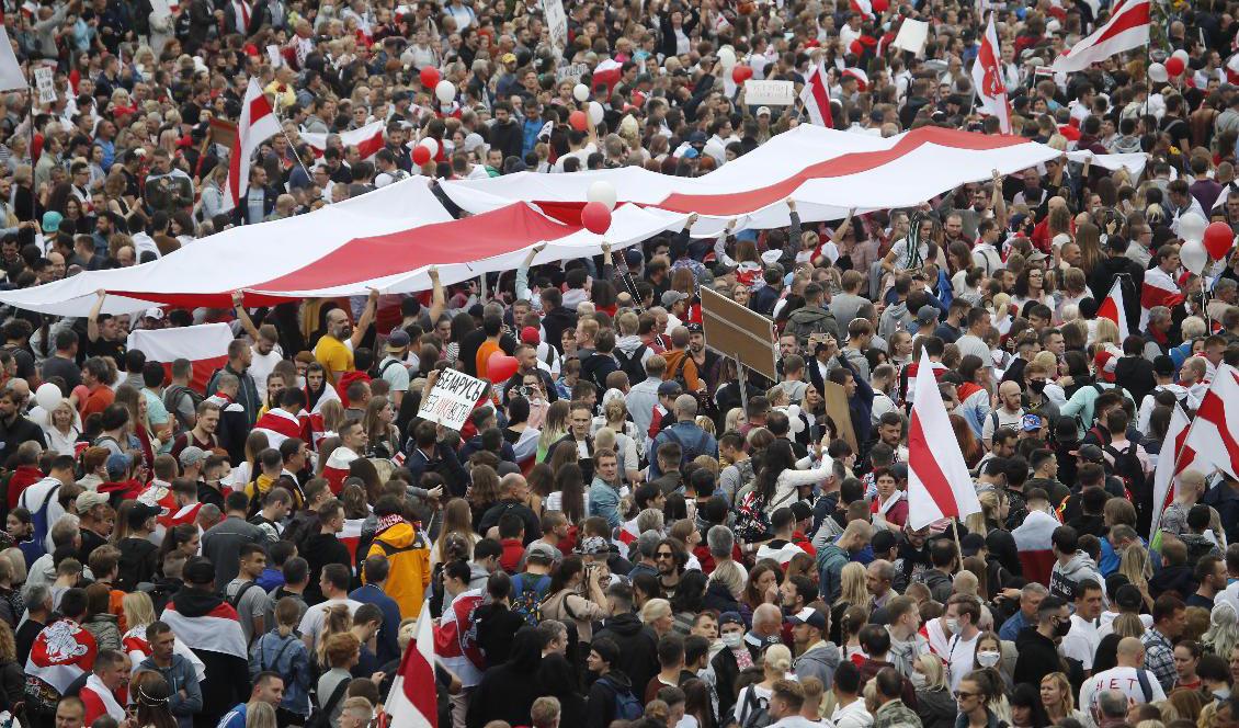 Tiotusentals demonstranter har samlats på Självständighetstorget i Minsk med oppositionens röd-vita flaggor. Foto: Dmitri Lovetsky