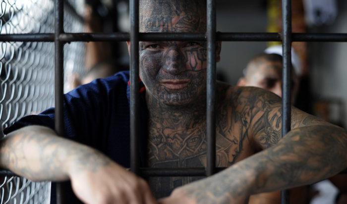 En medlem i Mara Salvatrucha (MS-13) i fängelset i Ciudad Barrios, 100 mil öster om San Salvador, El Salvador, den 19 juni 2012. Foto: Jose Cabezas/AFP/Getty Images